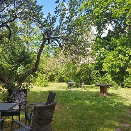 Pension Villa Inge バーデン エクステリア 写真