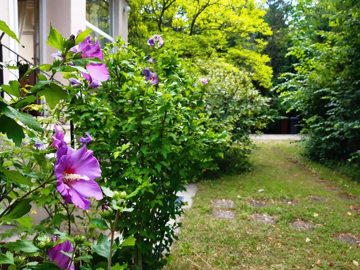 Pension Villa Inge バーデン エクステリア 写真