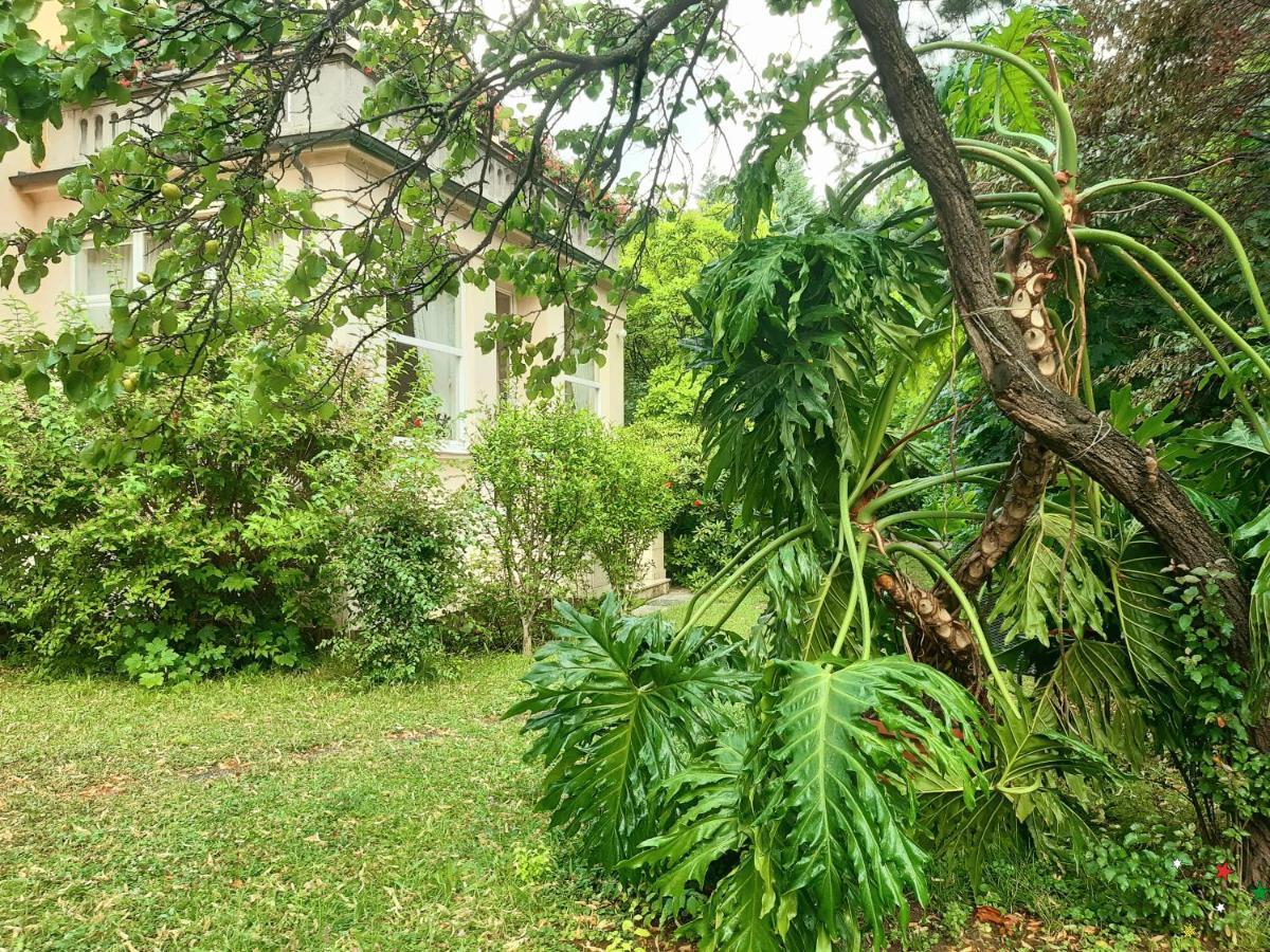 Pension Villa Inge バーデン エクステリア 写真
