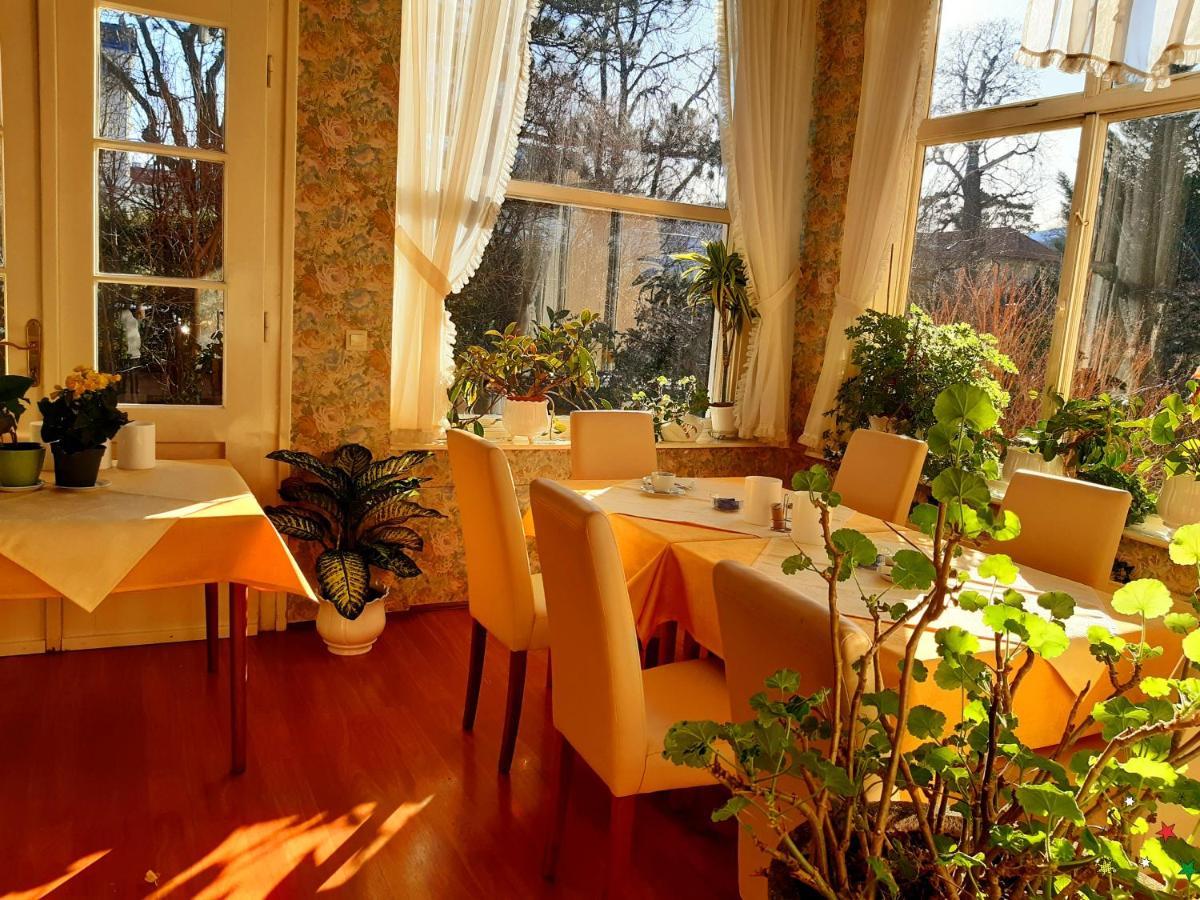 Pension Villa Inge バーデン エクステリア 写真